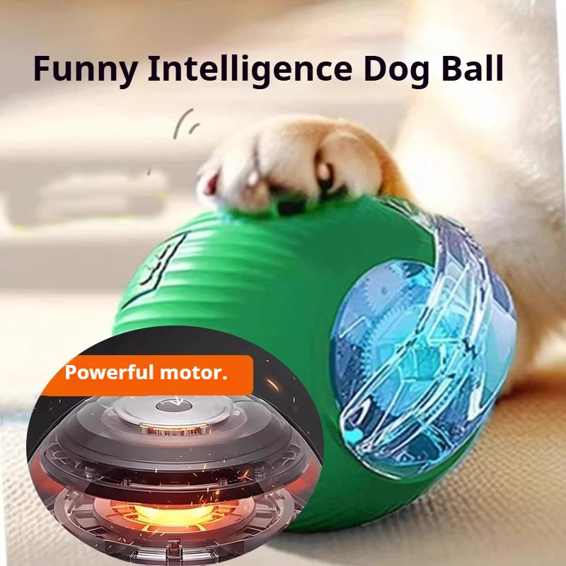 Interactive dog ball toy with tail attachment in gray
