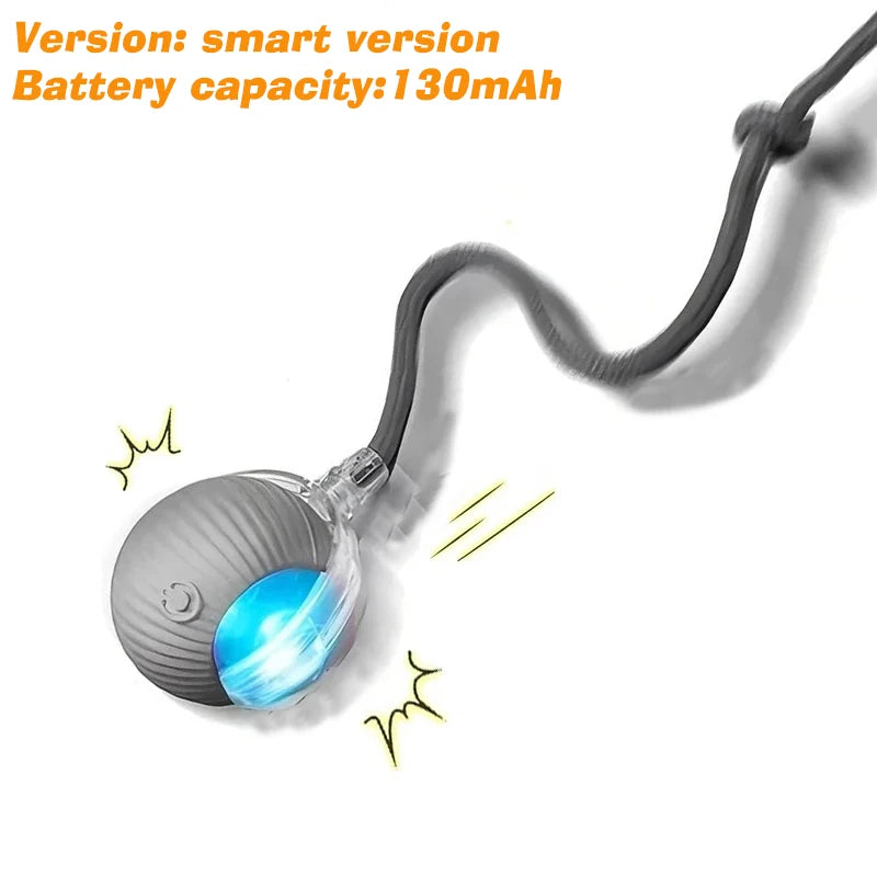 Smart rolling dog toy 3 play modes diagram
