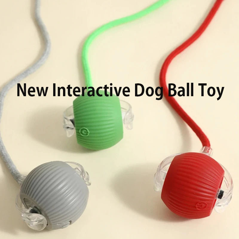 Dog ball toy obstacle avoidance feature demonstration