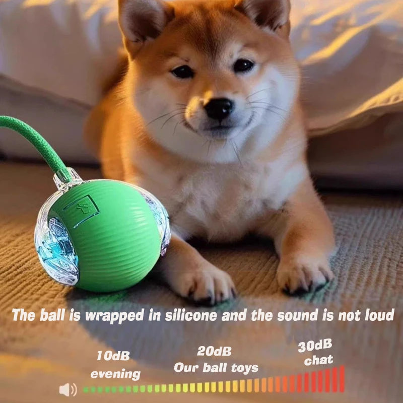 Smart dog ball toy showing Type-C charging port