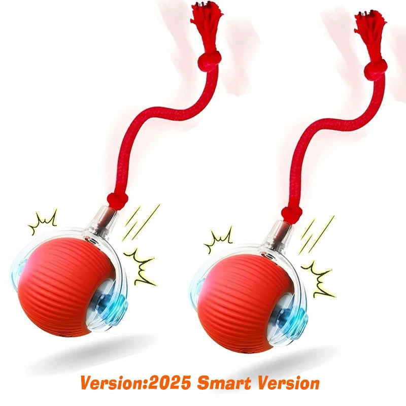 Smart dog ball toy food-grade plastic and silicone materials